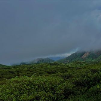 きっと晴れてればキレイなミヤマ庭園が見れるのでは‥