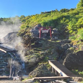 温泉神社⛩️
いっぱいお湯が沸いていて
温泉好きな自分としてはもうワクワク😆
