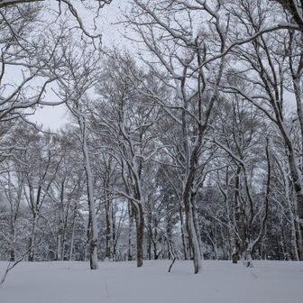ここからもうひと踏ん張りです🏋️