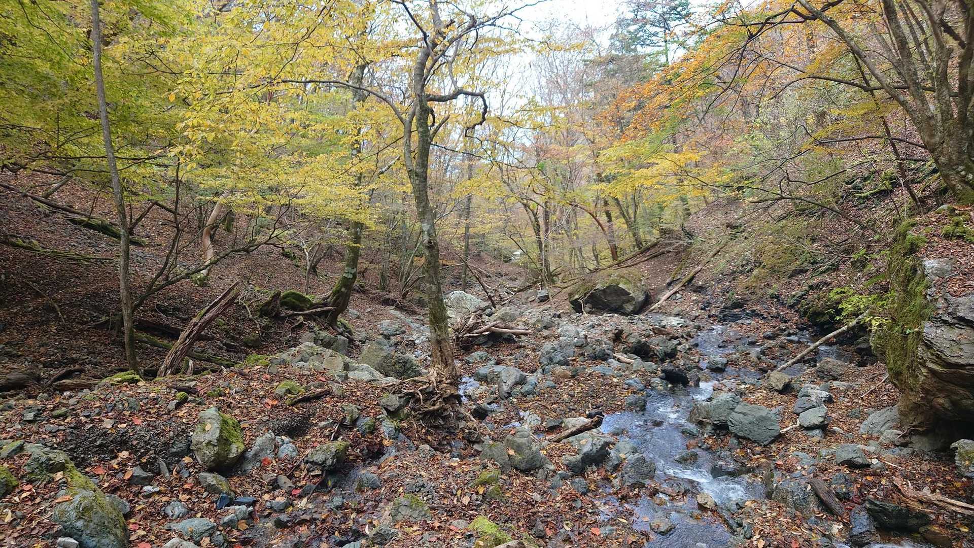 雲早山登山口-雲早山 往復コースの写真
