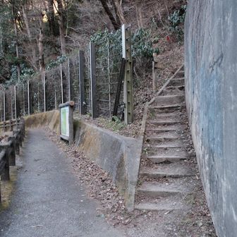 この階段から1度降りてきた