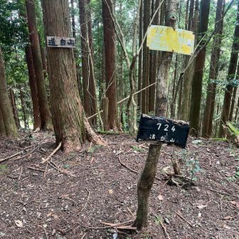 道白山踏破。開幕30分が富士山の3倍はキツかった。