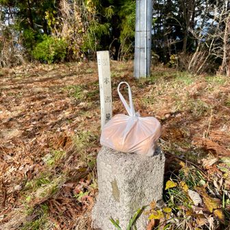 信夫山の三角点
上に乗ってるのはおじいさんから頂いた柚子
このポリ袋をぶらぶら持って歩いてます