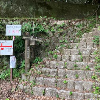 いろいろあったがどうにか下山！あとはロープウェイ乗り場まで舗装路！登りなのが地味につらい。