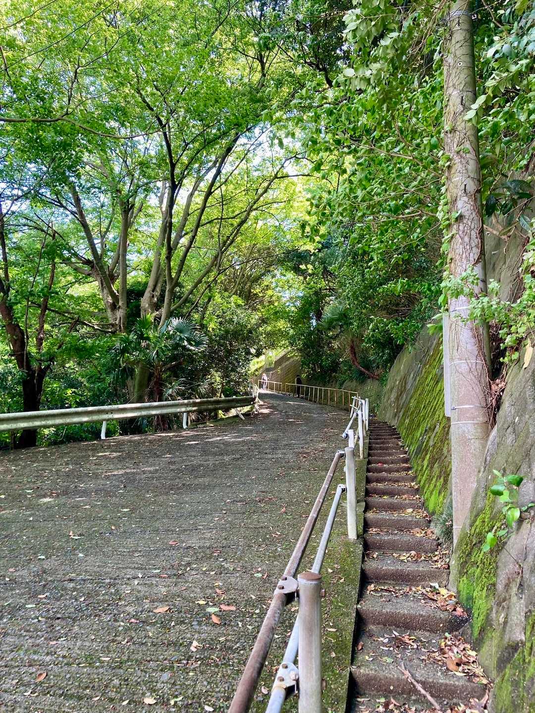 地味に長い登り😅