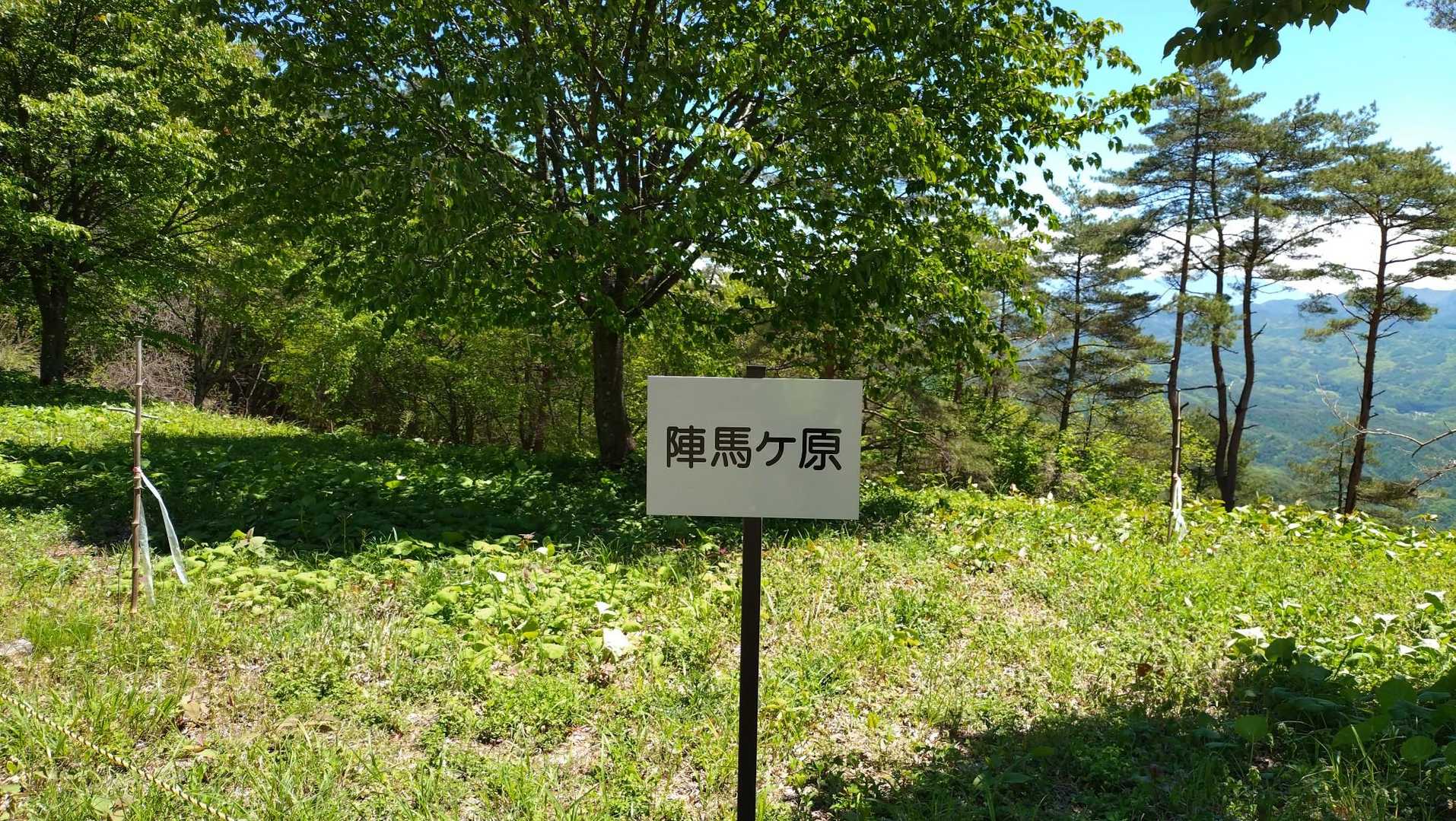 ここで軽トラとすれ違い…
車で来れる山だったの⁉️😆