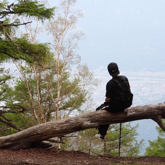 悠利