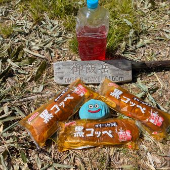 御飯（ゴハン）なので、わしの主食黒コッペトライアングル
朝昼晩黒コッペ🥺
怪しげな液体も添えて