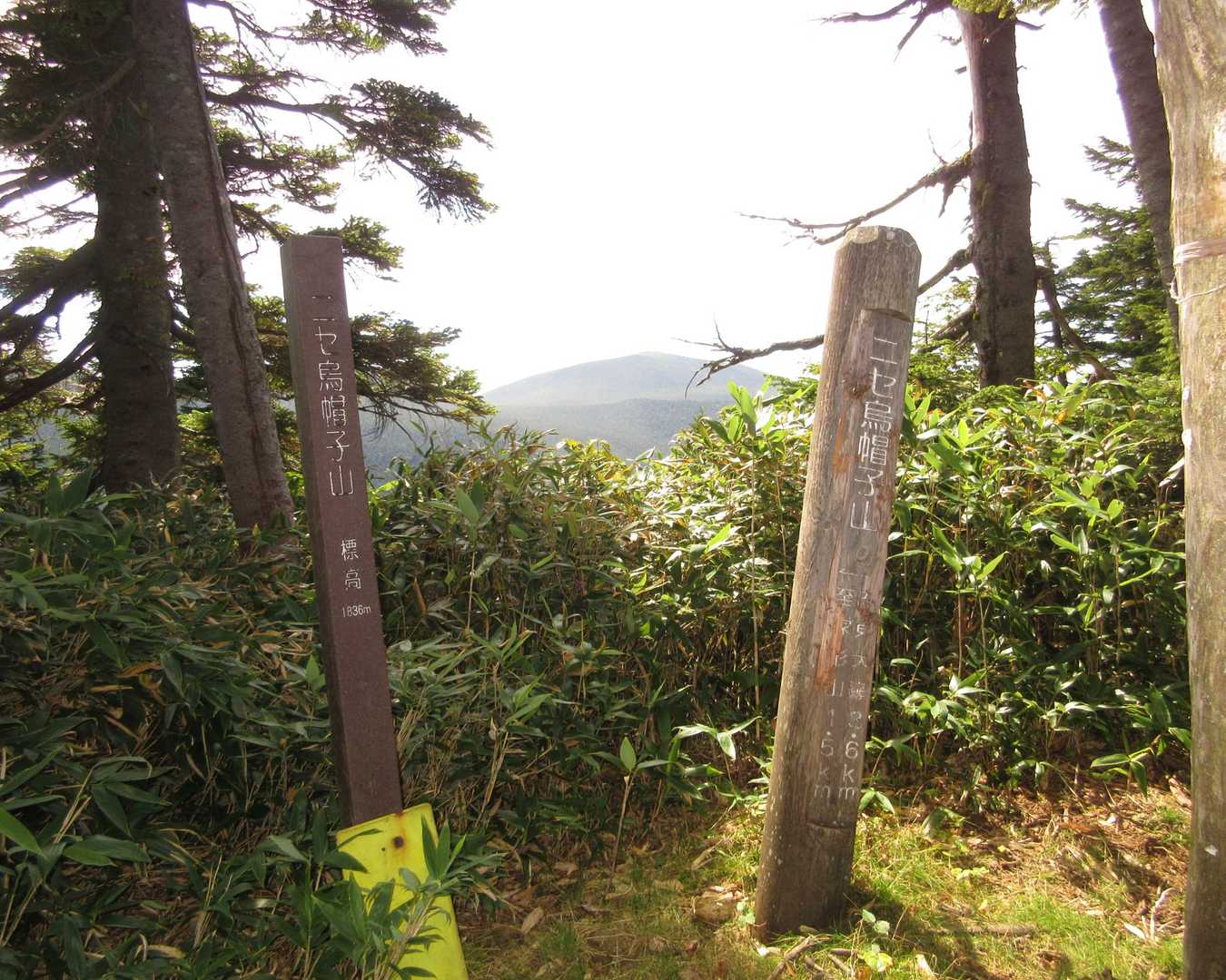ニセ烏帽子山