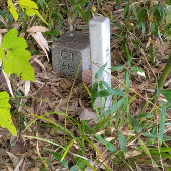 ⑦隈目の鈴隈山