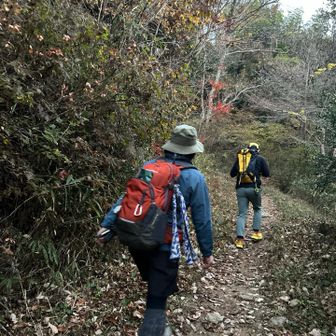 いくぞー

普段ソロなのでなかなか後ろ姿の写真ってない
今回、いっぱいpanちゃんが撮ってくれていた✨
そこで分かったこと
私、上半身がしっかり起きている❗️
今まで前屈み気味だったけれど、接骨院の効果が出ているみたいだよ✨