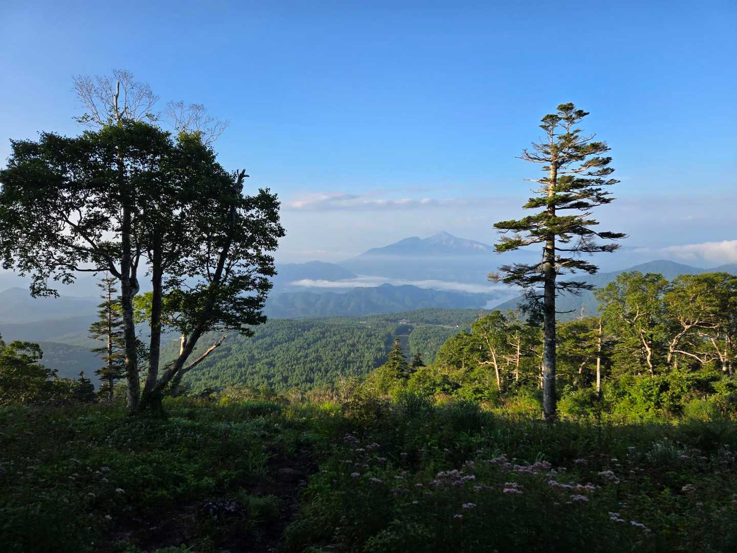 磐梯山。このあと雲の中に