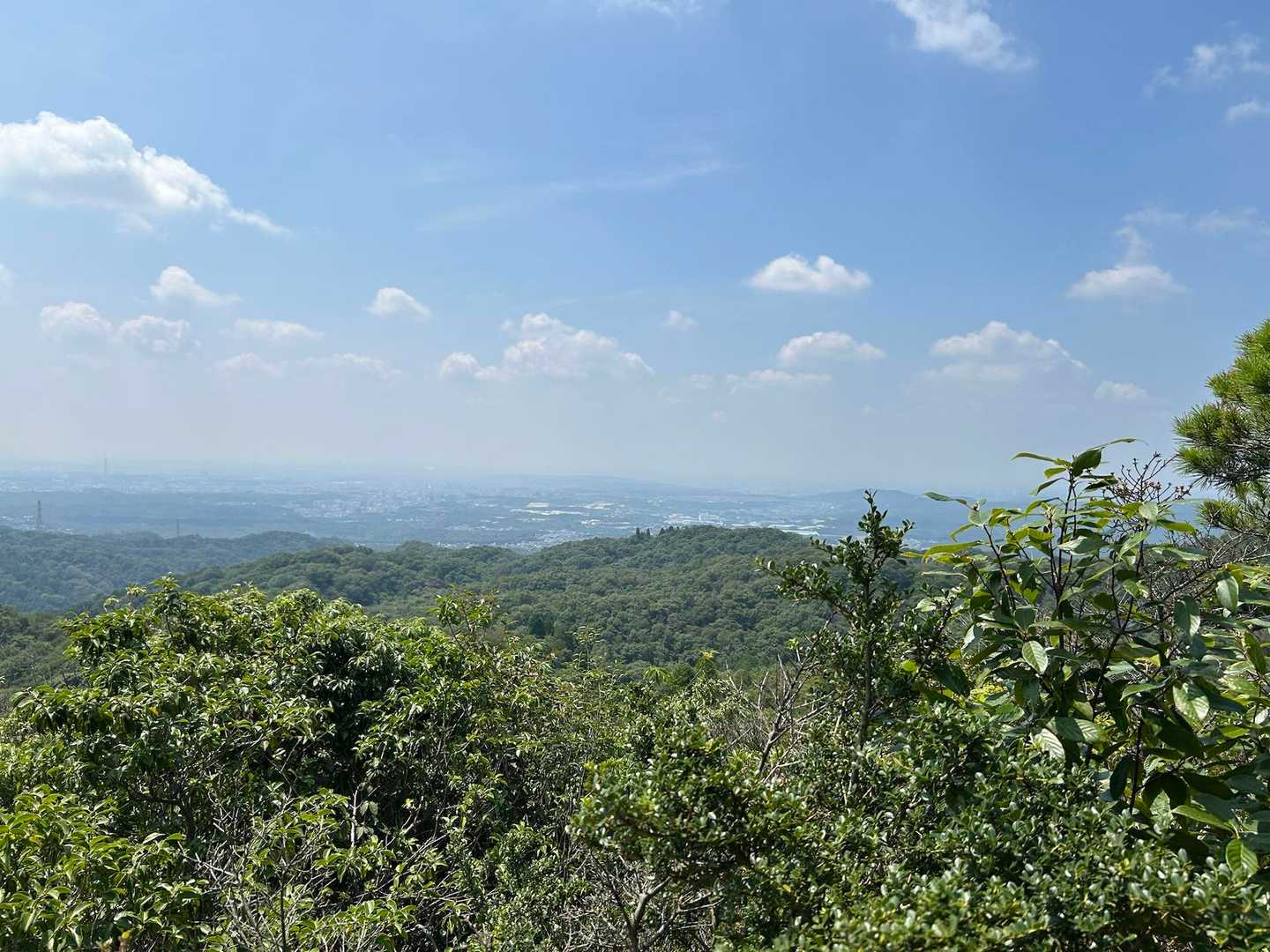 山頂
ここからの景色大好き
