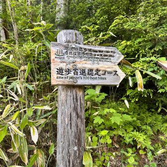 遊歩道取り付きはわかりにくい