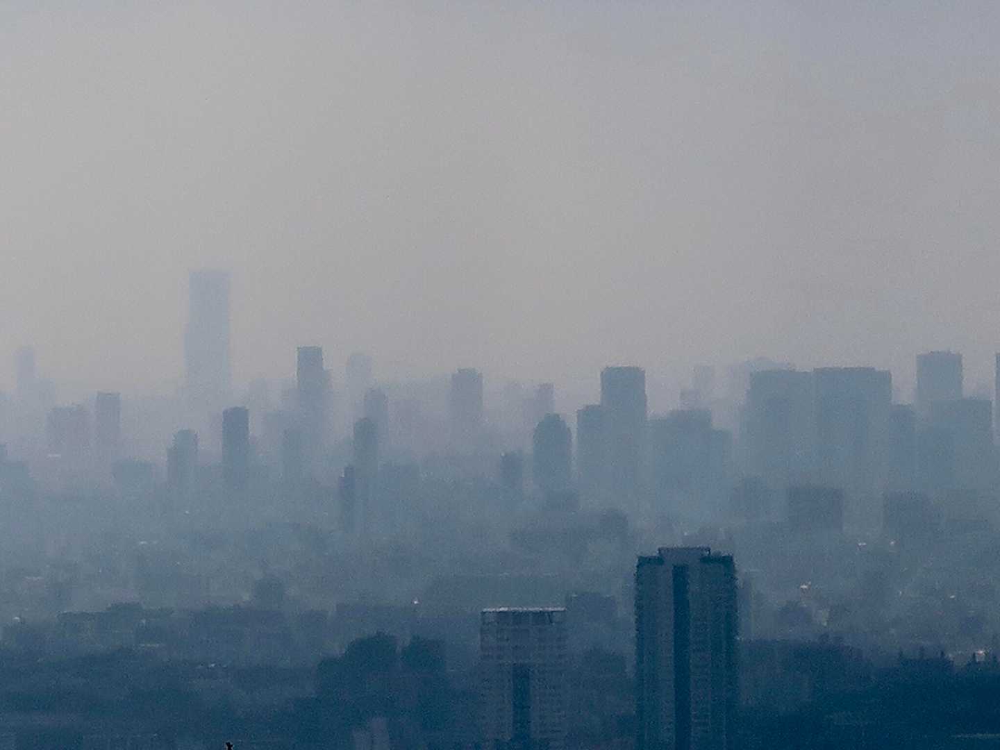 白っぽいけど、いい景色。