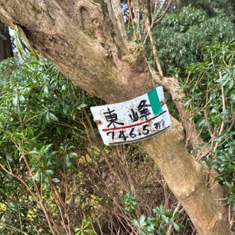 下りはパノラマルート🥾