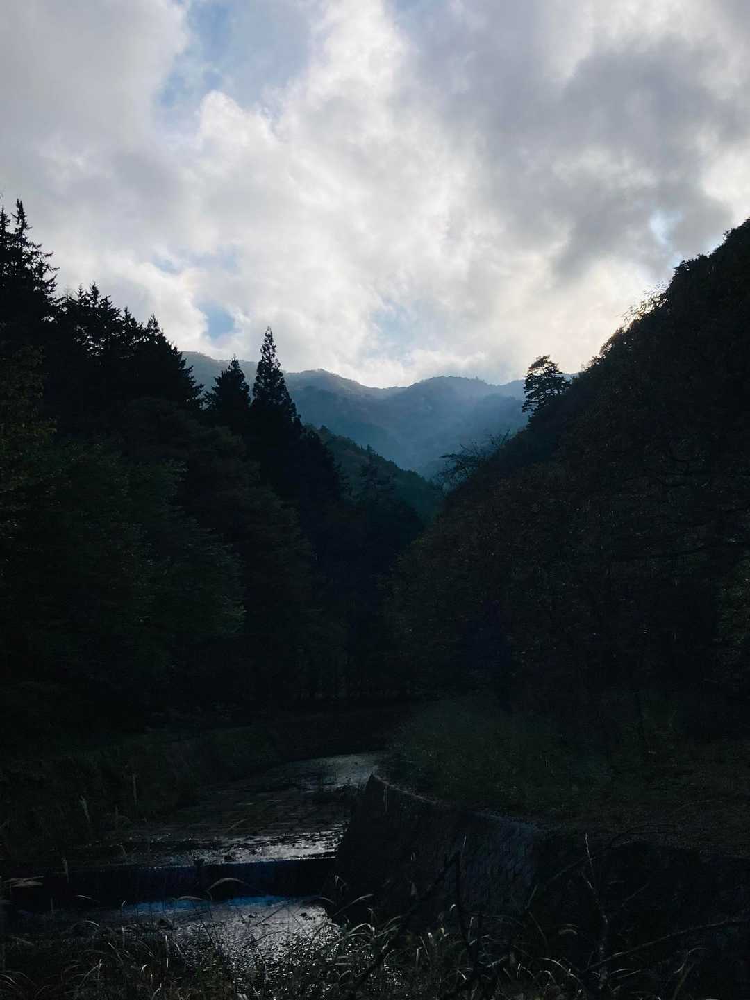 空はどんより…
久しぶりに牛ノ寝通りに行きたくなりました〜