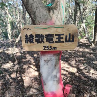 1座目▲綾歌竜王山

ピカピカのこーさんプレートありました🪧


※この時はまだ知りませんでした！この日の朝こーさん👨が取り付けてるので、当然プレートはピカピカ✨