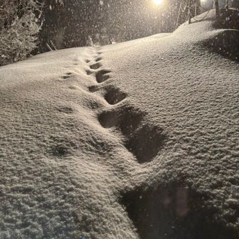 ライトアップが見えて
元気が出たけど
もう足🦵終了☑️ﾁｰﾝ