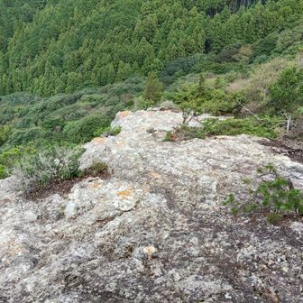 西テラスに到着