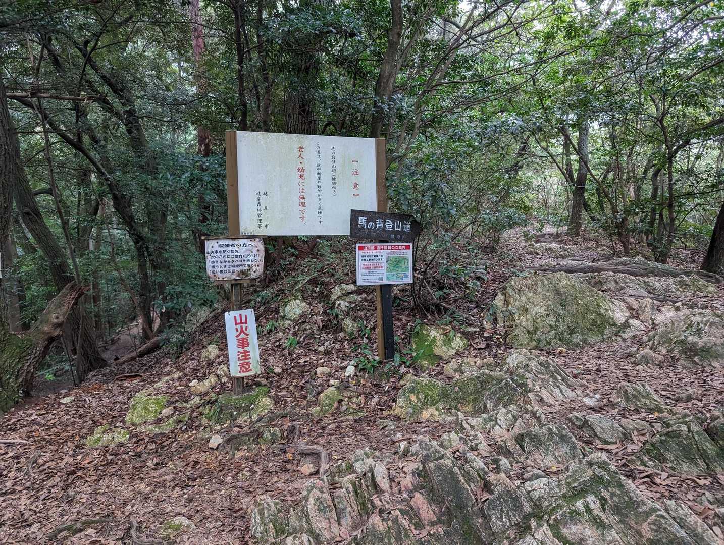 めいそう歩きたくて行ったのに
甘やかされた自分に
喝を入れるために
馬の背   (و•o•)و
