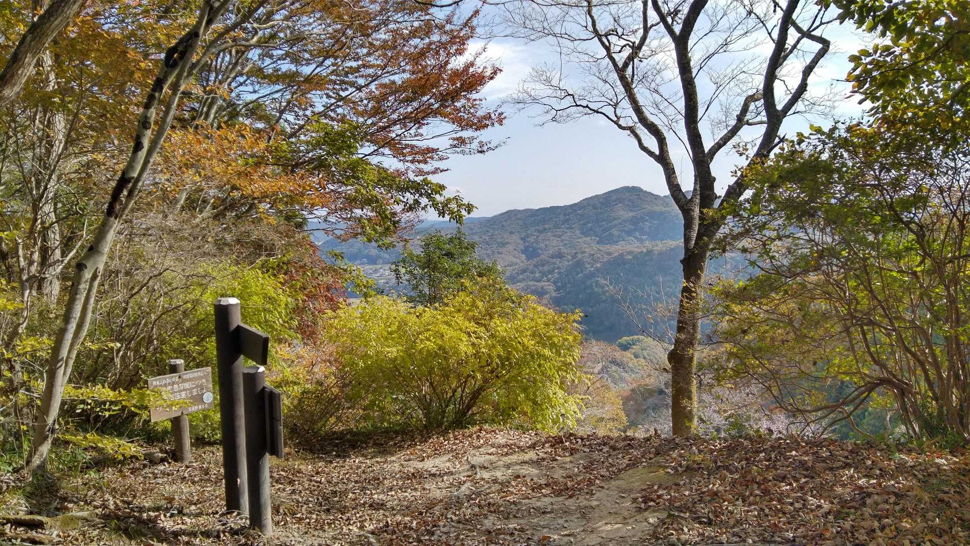 紅葉✨きれいでした🍁