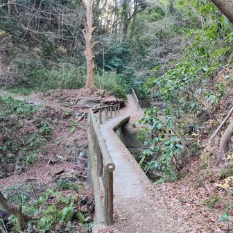 田浦の温泉谷戸の辺りの道は、明治〜大正の頃は、こんな感じだったんじゃないかなと思う。
