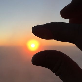 やまねこにゃー