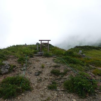 やっと着いたぜー