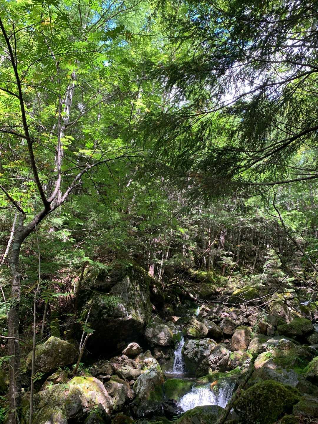 水キラキラだったので一枚。
お疲れ山でした。