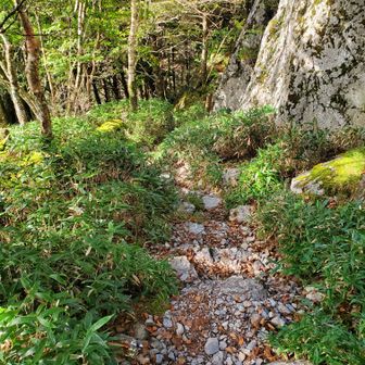 帰りは遊歩道のほうで見ノ越まで帰ります。

人通りが少なくてこの時間帯でもこの区間は2名しかすれ違わなかったです。