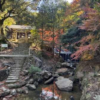水分神社ともみじ
水面にもみじ🍁がうつってキレイ