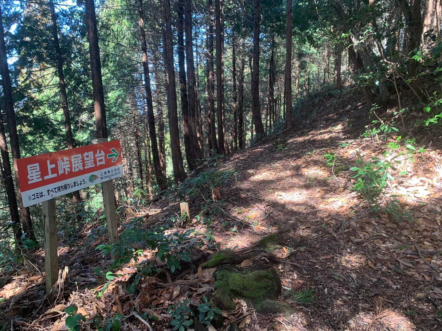 京羅木山-星上山 縦走コースの写真