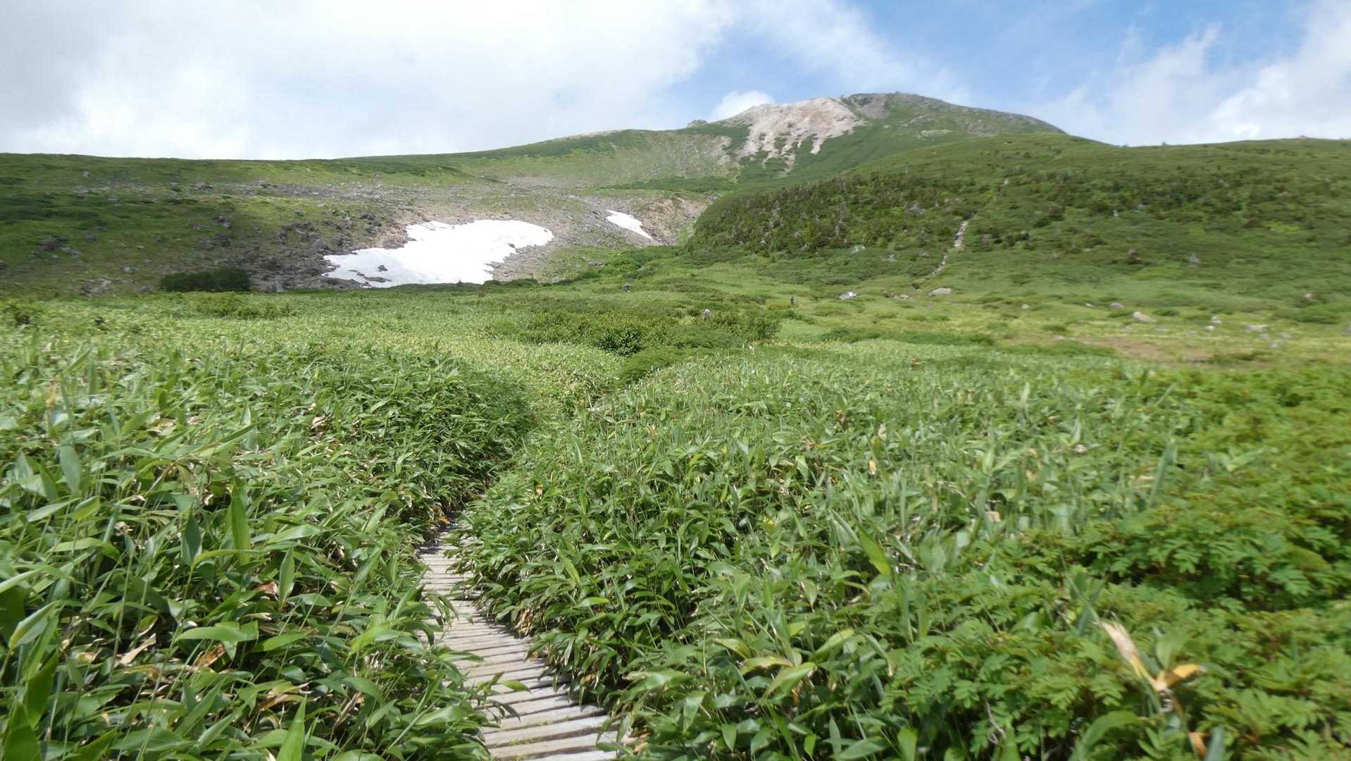 砂防新道-白山-観光新道 周回コースの写真
