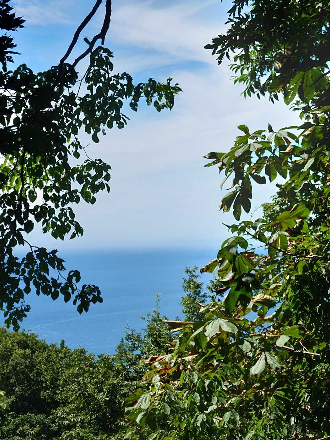 少しは海見えた✨