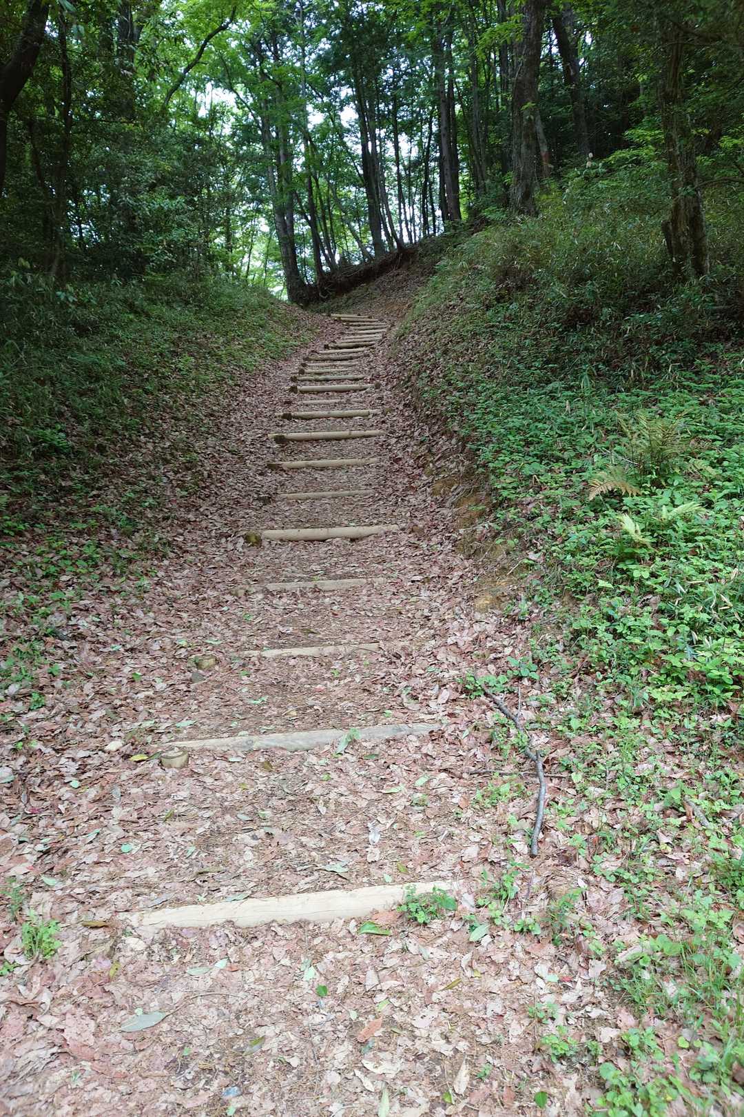 よく整備されています😃