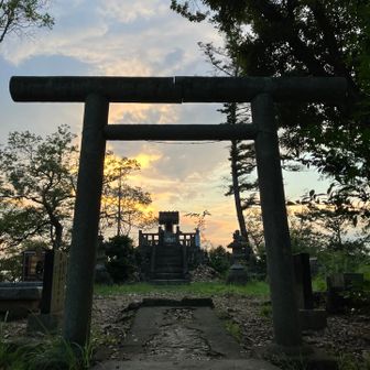🌇