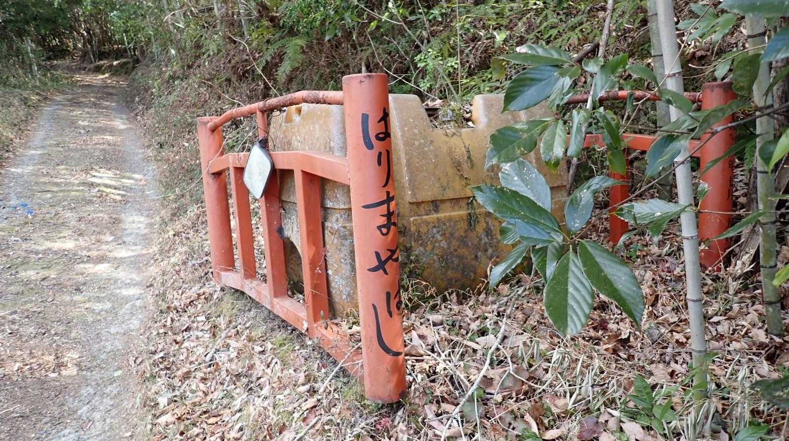 はりまや橋、発見👀