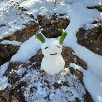 さっそく上手に雪だるま⛄を作るふじさん。
日記でしか見たことなかったのに、今日はリアルです。