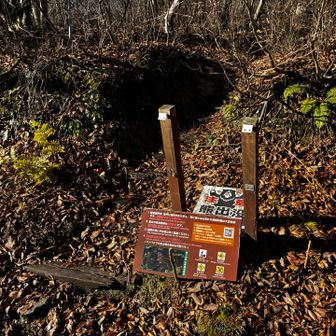 恒例になった？女子登山へGO👍