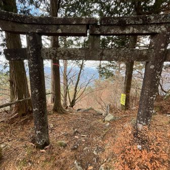 さぁ下山するよー