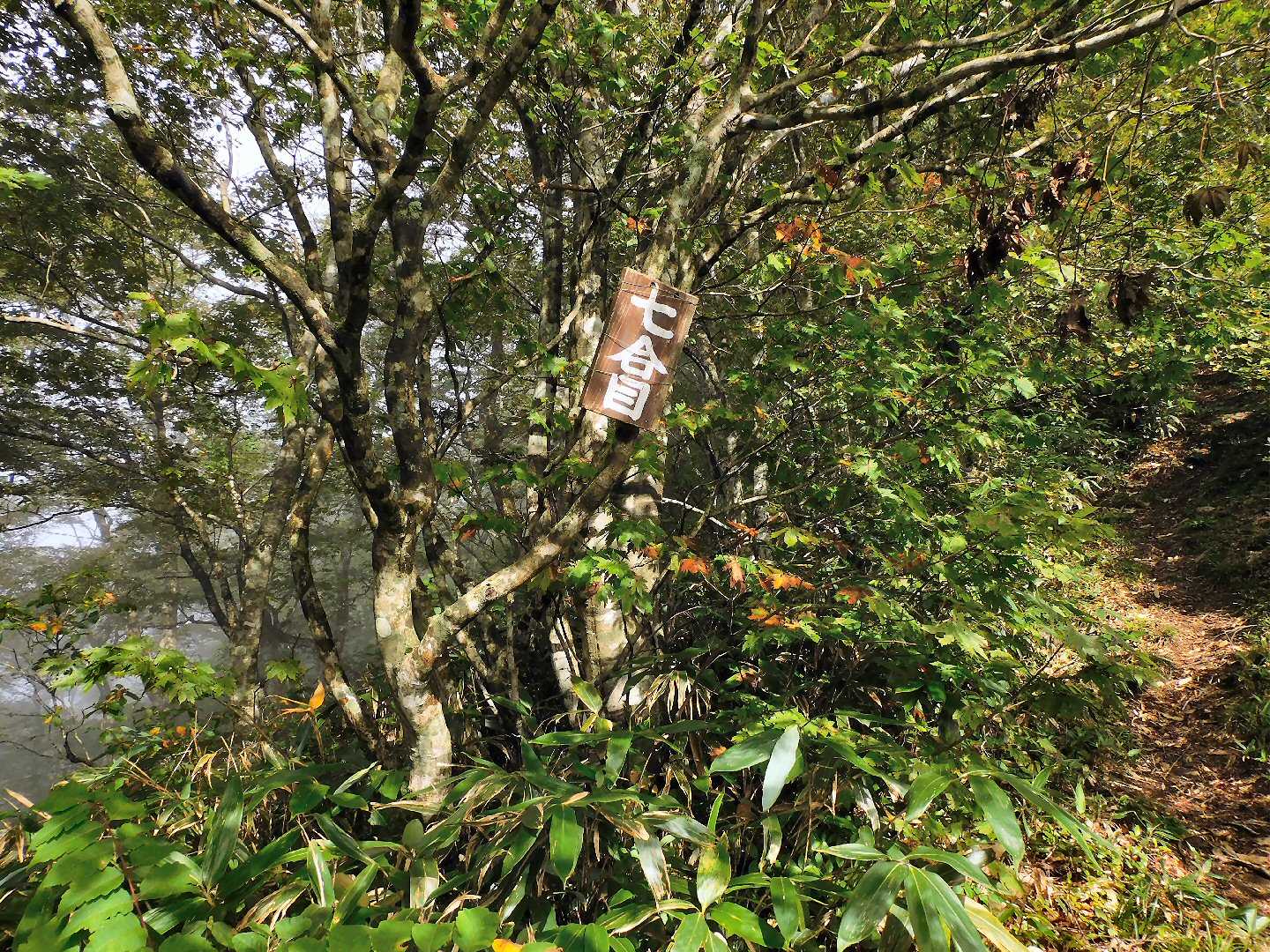 槍ヶ先-中先-火打岳 往復コースの写真
