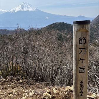 3回目のでーん！
もう言葉要らないっすね