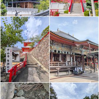 中山寺境内一式。

スズメガの仲間の幼虫。芋虫🐛。
終齢。蛹になる為に木から下りて、潜る地面を探してる。踏まれないように気をつけてねぇ。幼虫、成虫とも毒なし。