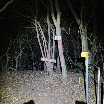 2日連続の平尾山⛰️