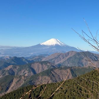 富士山が綺麗だった。