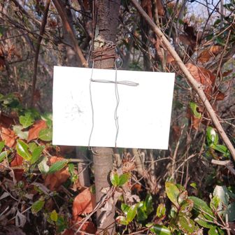 藤ノ木山登頂
文字が消えかけて見えない😮

眺望はないけどシダ藪はあまり問題なく歩けます
みなさん一度ご賞味あれ♪︎

とは言うもののあくまで自己責任でお願いしますね😅