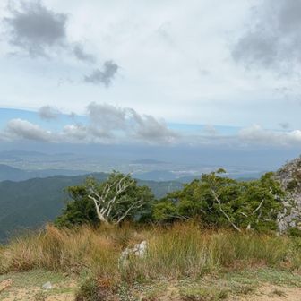 右手に天狗の鼻