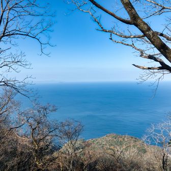 戻っている最中。