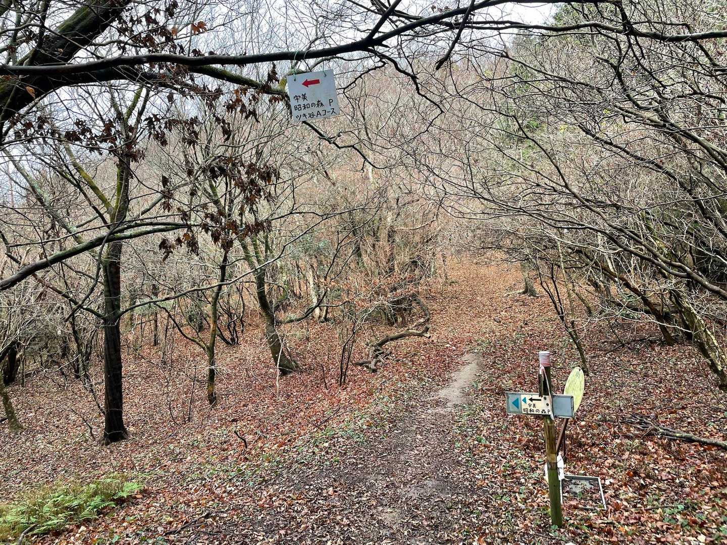 三郡山-砥石山  周回コースの写真